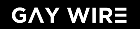 Gaywire Logo